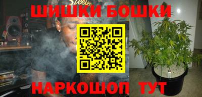 2c-b Новозыбков