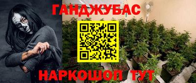 индика Новокубанск