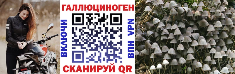 Псилоцибиновые грибы ЛСД  MEGA ССЫЛКА  Томск  купить наркотики сайты 