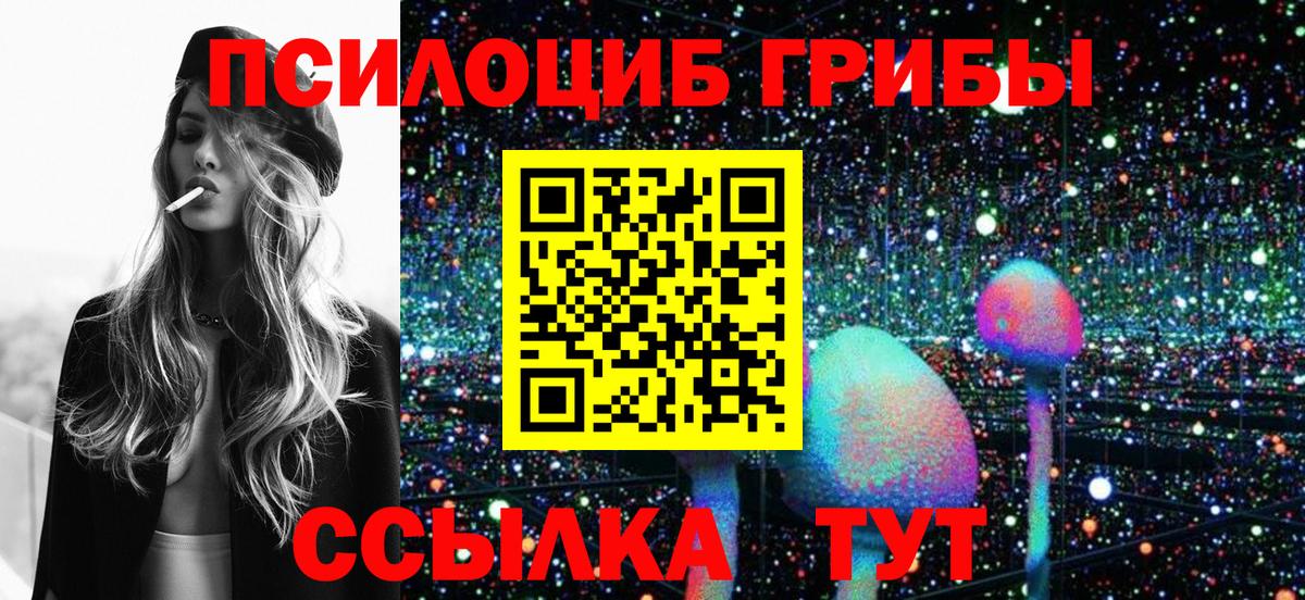 Галлюциногенные грибы Psilocybine cubensis Томск