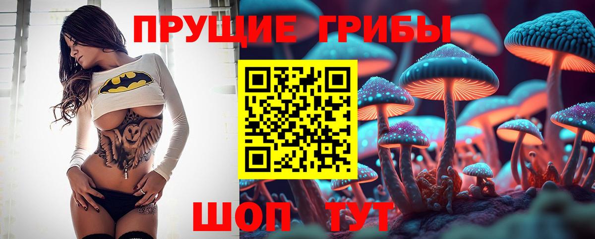 Томск  Галлюциногенные грибы прущие грибы  Псилоцибиновые грибы мицелий  Вход с VPN 
